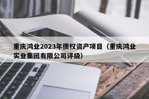 重庆鸿业2023年债权资产项目（重庆鸿业实业集团有限公司评级）